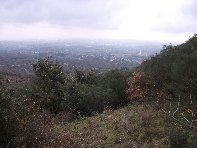 nte Ilice-20110120 064